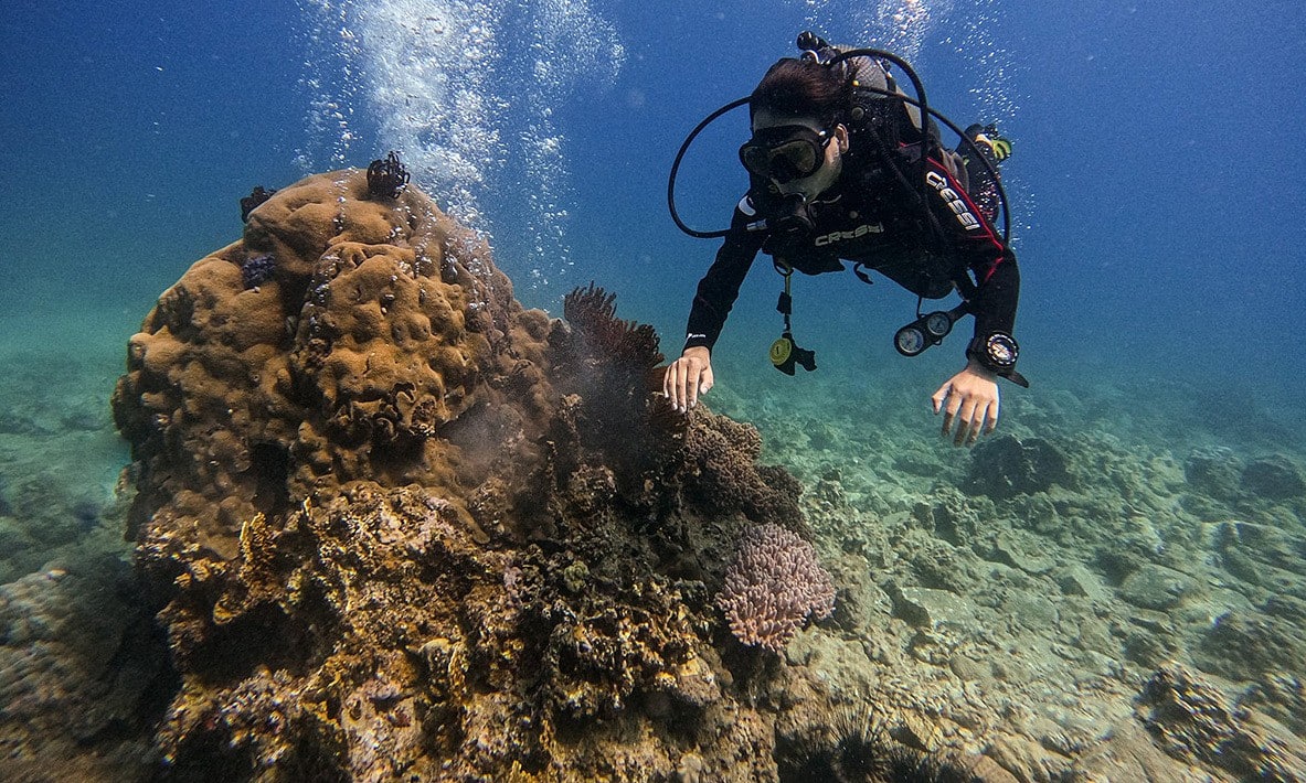 Защита коралловых рифов Нячанга