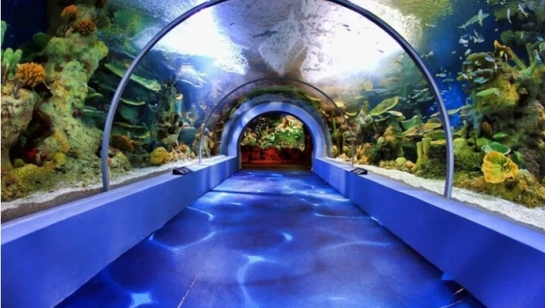 Ханойский крытый аквариум открыт для посетителей.