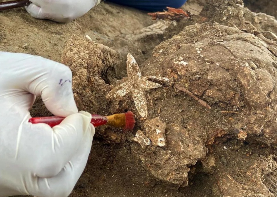 Китайские археологи нашли ДНК человека